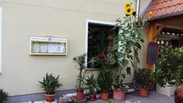 20170721_181238.webp