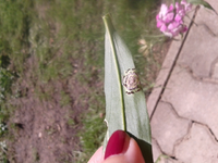 20170722_122646.jpg