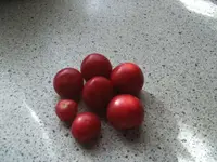 BILD7654.webp