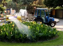 Händisches Gießen mit Wasserbehälter und Traktor im Einsatz.webp