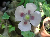 DSC07759.webp