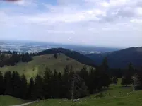 IMG-20170722-WA0004.jpeg