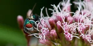 _MG_8594.webp