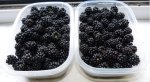 Brombeeren.jpg