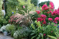 Terasse2915.webp