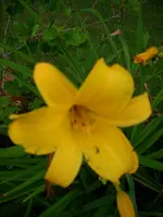 DSCI0516.webp