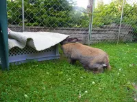 002.webp
