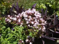 BILD7653.webp