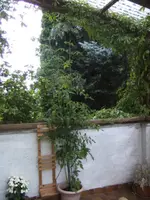 BILD7669.webp