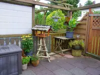 023.webp