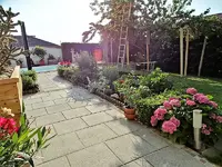 DSC00877.webp