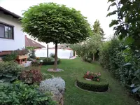 DSC01159.webp