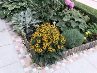 DSC01166.webp