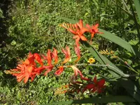 BILD7635.webp