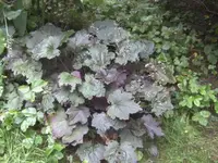 BILD7648.webp