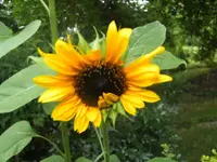 BILD7650.webp