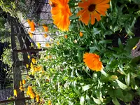 20170722_142532.webp