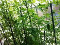 20170722_142315.jpg