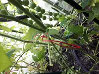 20170722_142433.webp