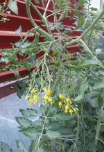 2017-07-23_12.47.51.jpg
