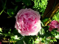 IMG_5056.JPG