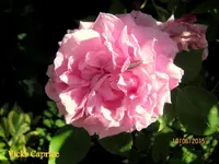 IMG_5057-001.webp