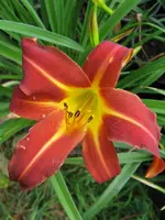 005_576x768.webp