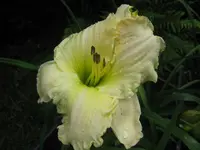 eps 1_1024x768.webp