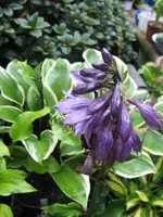 024_576x768.webp