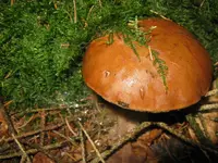 014_1024x768.webp