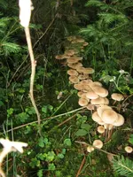 010_576x768.webp