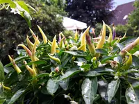 20170723_151640.webp