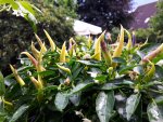 20170723_151640.jpg