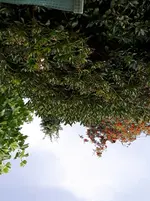 20170723_153051.webp