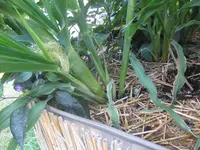 IMG_0455.webp