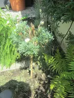 IMG_0488.webp