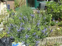IMG_0482.webp