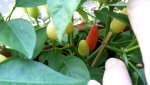 20170721_101340.jpg