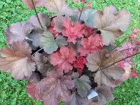 20170723_163305.webp
