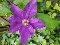 20170723_171741.webp