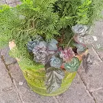 20170723_173711.webp