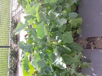 20170723_180650.webp