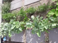 20170723_175826.webp