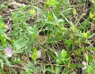 IMG_7698A.webp
