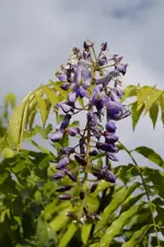 _DSC1976.webp