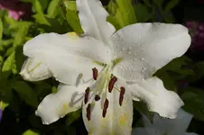 _DSC1965.webp
