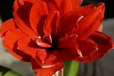 _DSC1954.webp
