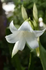 _DSC1956.webp