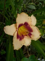 DSCI0526.webp