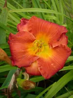 DSCI0529.webp